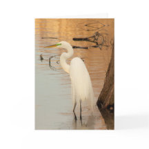 Carte de voeux dorée