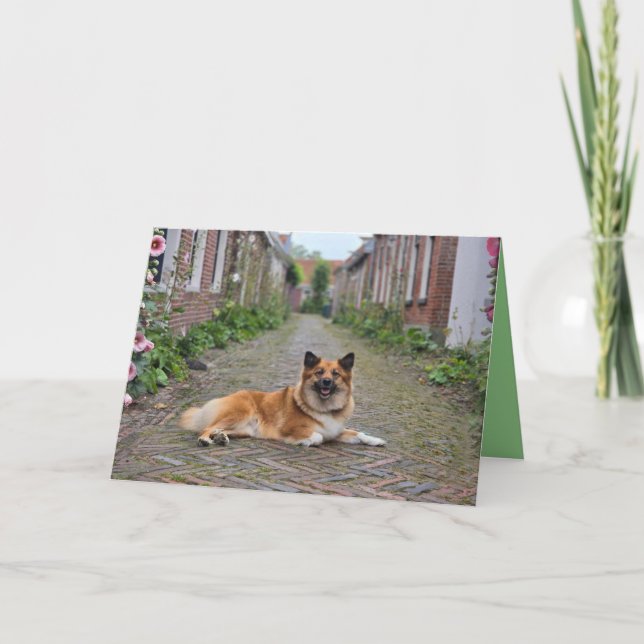 Carte de vœux double (Devant)