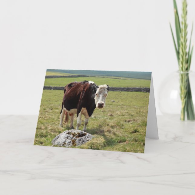 Carte de voeux drôle (Devant)