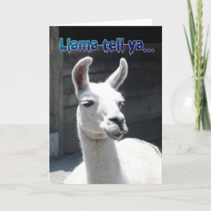 Carte de vœux drôle d'anniversaire de lama heureux