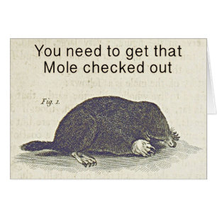 Carte de voeux drôle de taupe, humour animal