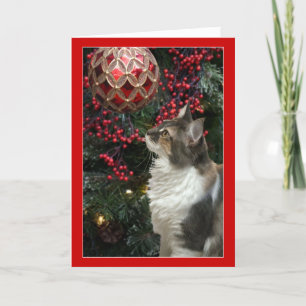 Carte de voeux drôle d'ornement de Noël de chat