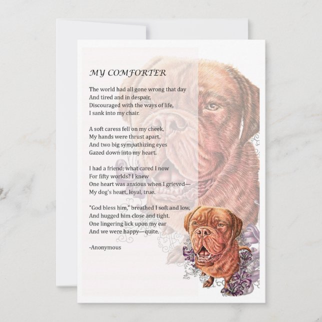 Carte de voeux du cadeau Amoureux des chiens Masti (Devant)