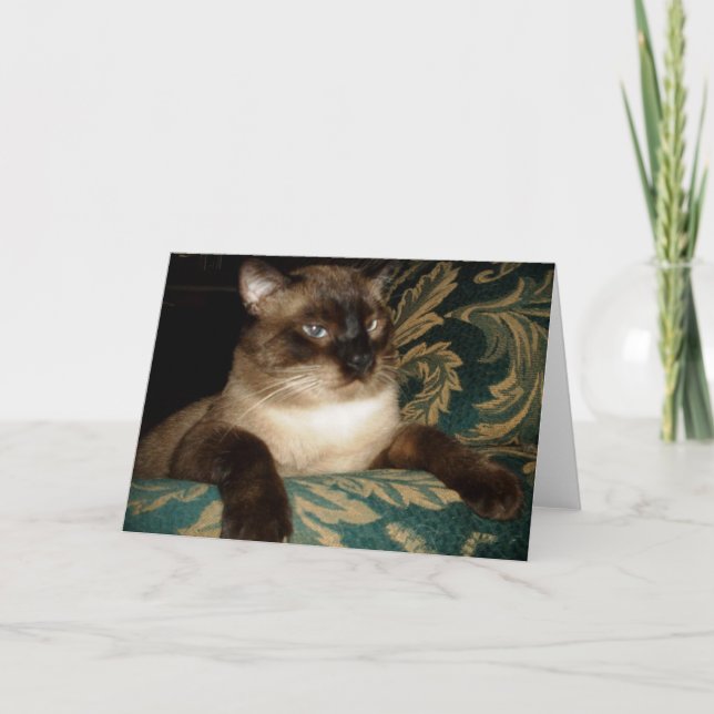 Carte de vœux du chat siamois au visage boudeur (Devant)
