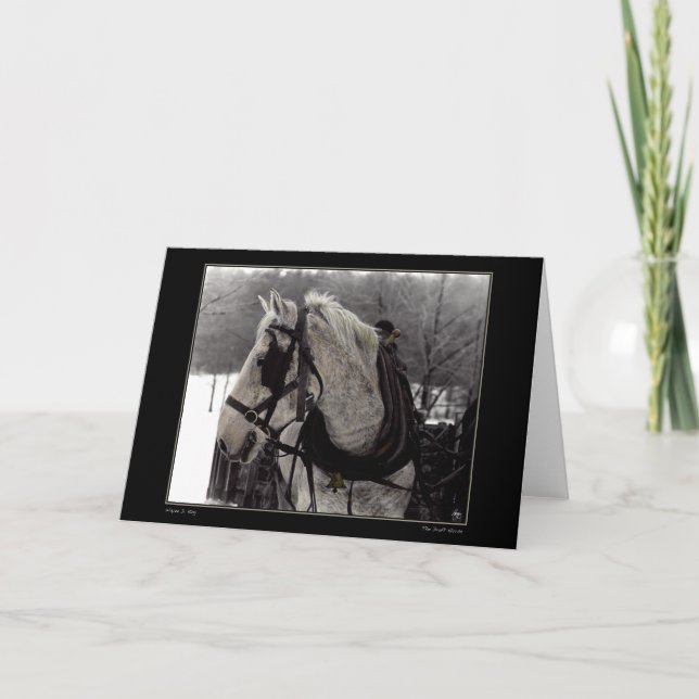 Carte de voeux du cheval (Devant)