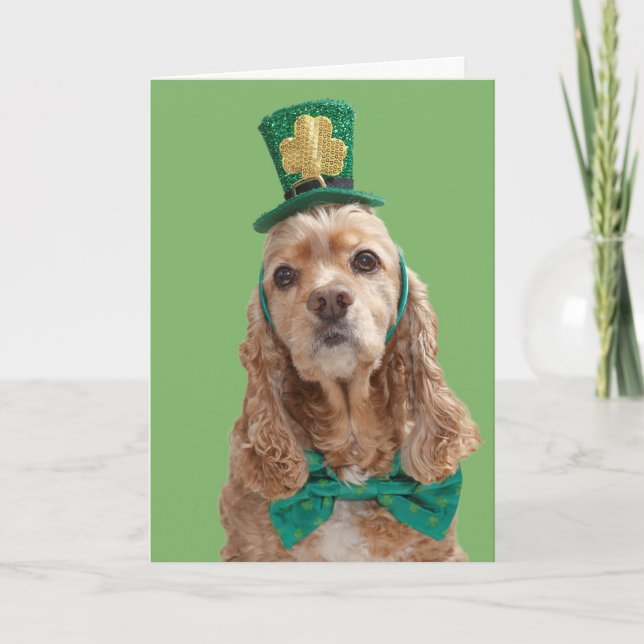 Carte de voeux du jour de St Patrick de cocker (Devant)