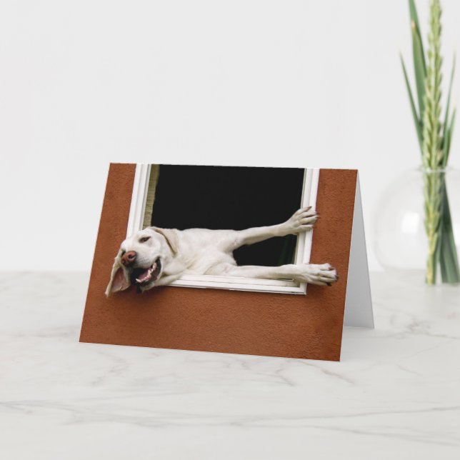 Carte de voeux du Labrador jaune (Devant)