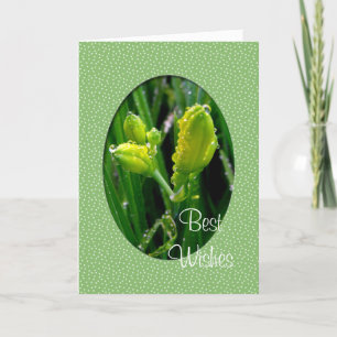 Carte de voeux du Nouvel An