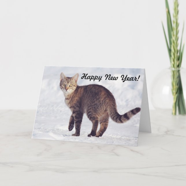 Carte de vœux du Nouvel An avec un chat dans la ne (Devant)