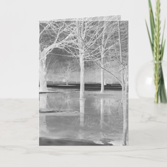 Carte de vœux du solstice d'hiver par Janz (Devant)