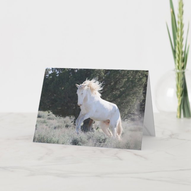 Carte de voeux du survivant (Devant)