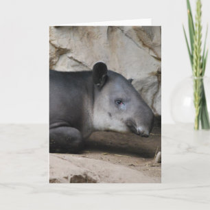 Carte de voeux du tapir de Baird