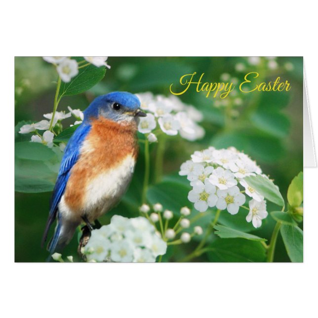 Carte de voeux Eastern Bluebird (Devant horizontal)