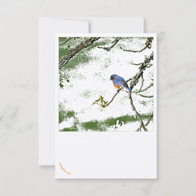 Carte de voeux Eastern Bluebird/Champagne Glasses  (Devant)
