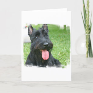 Carte de voeux écossaise Terrier Dog