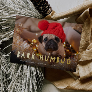 Carte De Vœux En Aluminium Bark Humbug   Photo pour animaux