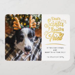 Carte De Vœux En Aluminium Cher Père Noël J'ai essayé chien photo fun Noël or