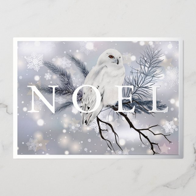 Carte De Vœux En Aluminium Chouette neige NOEL personnalisé Noël (Recto)