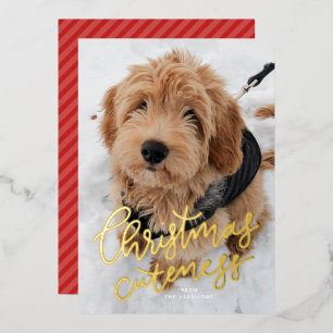 Carte De Vœux En Aluminium Cute Noël une photo animal mignon