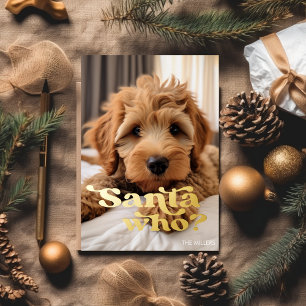 Carte De Vœux En Aluminium Drôle Sale Gentil Chien Animal Compagnon Minimalis