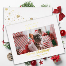 Festif Animaux de compagnie Photo Joyeux Noël