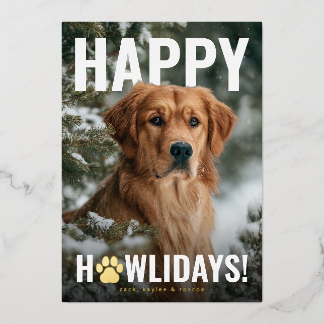 Carte De Vœux En Aluminium Happy Howlidays Dog Christmas (Recto)