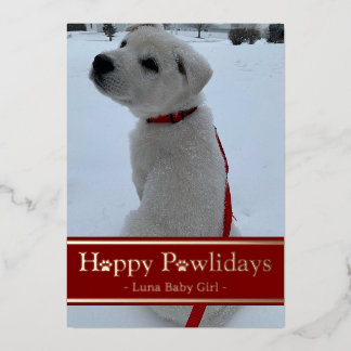 Carte De Vœux En Aluminium Joyeuses fêtes de Pawlidays