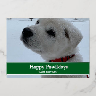 Carte De Vœux En Aluminium Joyeuses fêtes de Pawlidays