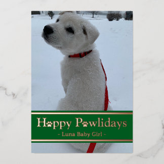 Carte De Vœux En Aluminium Joyeuses Pawlidays