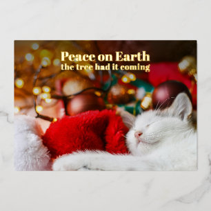 Carte De Vœux En Aluminium Joyeux Noël Chat Endormi Paix sur Terre