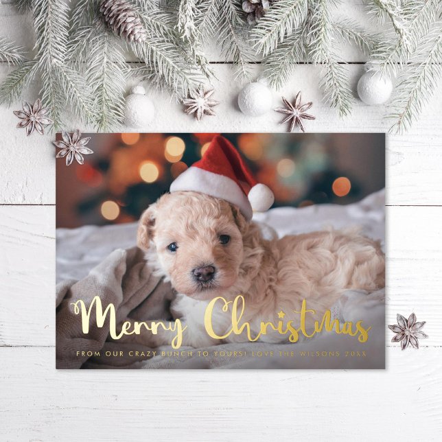 Carte De Vœux En Aluminium Joyeux Noël Pet Photo (Créateur téléchargé)