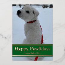 Joyeux Pawlidays