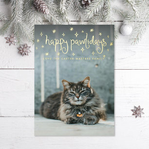 Carte De Vœux En Aluminium Joyeux Pawlidays Fun Stars Photo Chat