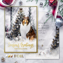 Magie de Noël, Sable Rough Collie Chien & Agneaux 