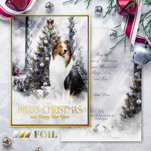 Magie de Noël, Saddleback Rough Collie & Lambs -