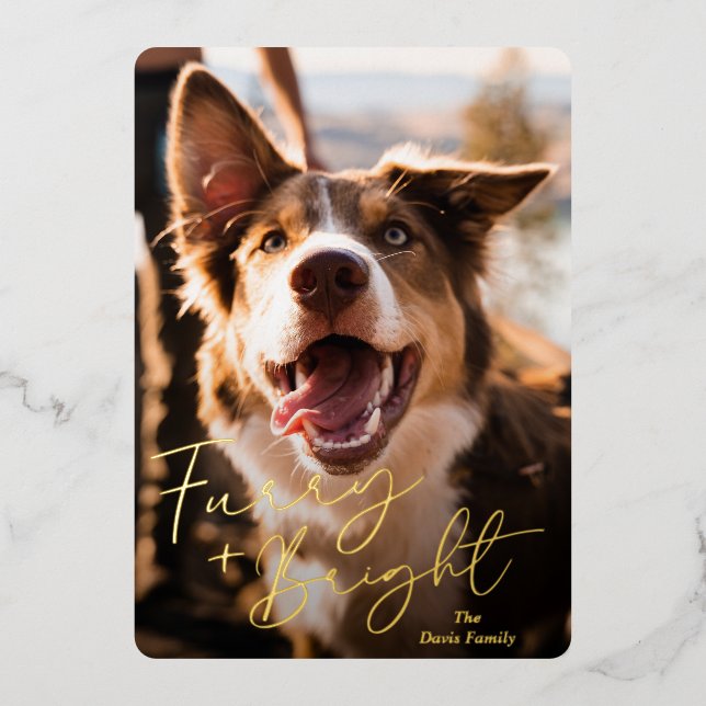 Carte De Vœux En Aluminium Photo Chien mignon Noël moderne (Recto)