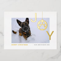 Photo de chien moderne Joy