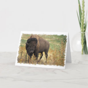 Carte de voeux en bois de bison