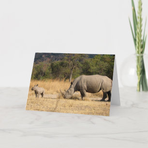 Carte de voeux famille Rhinoceros