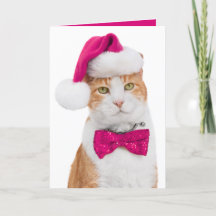 Carte de vœux festive - Chat insolent