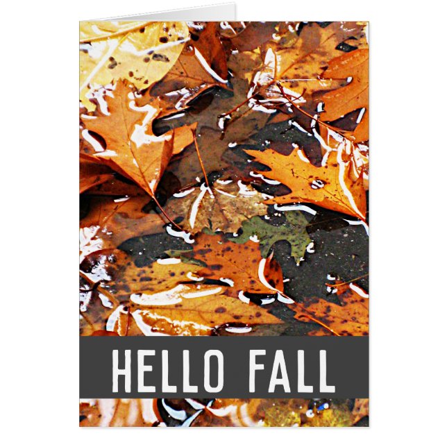 Carte de voeux Feuille Hello Fall Rainy (Devant)
