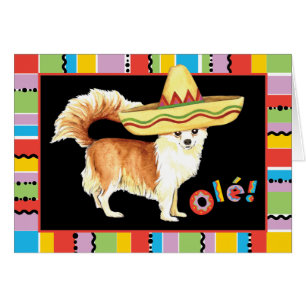 Carte de voeux Fiesta Long Coat Chihuahua