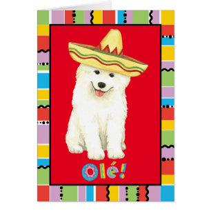 Carte de voeux Fiesta Samoyed
