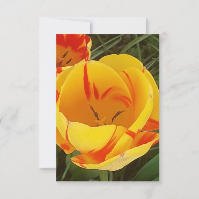 Carte de voeux Flat Tulips Spring (Devant)