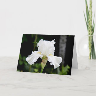Carte de voeux Fleur Iris Blanc (Vierge à l'intéri
