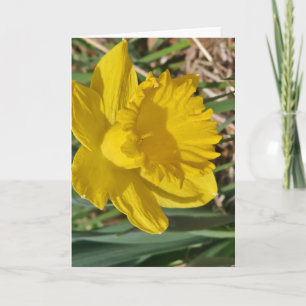 Carte de vœux fleur jaune