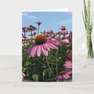 Carte de voeux Fleurs de cônes