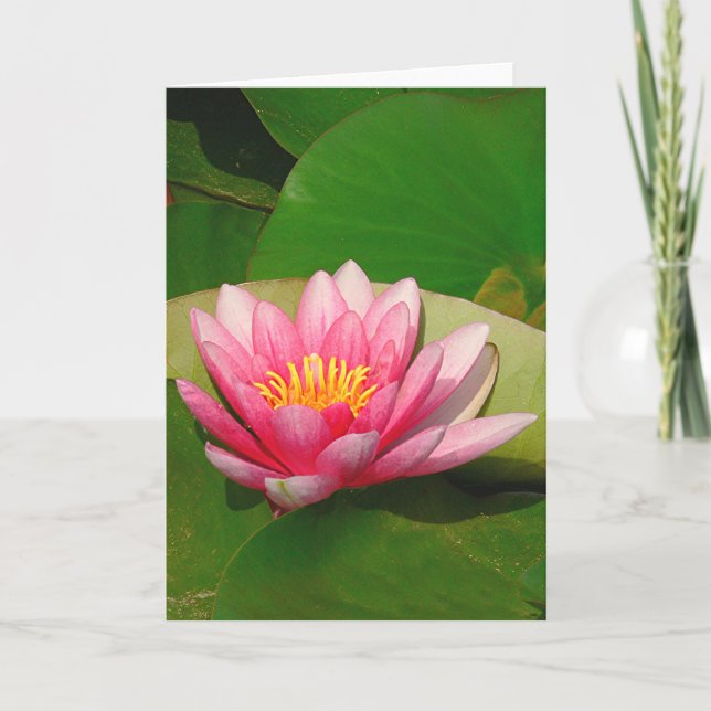 Carte de voeux, "FLEURS LOTUS ROSES" (Devant)