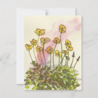 Carte de vœux Fleurs sauvages Pavots Jaunes