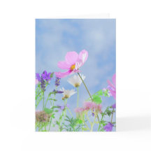 Carte de voeux Fleurs sauvages vierges